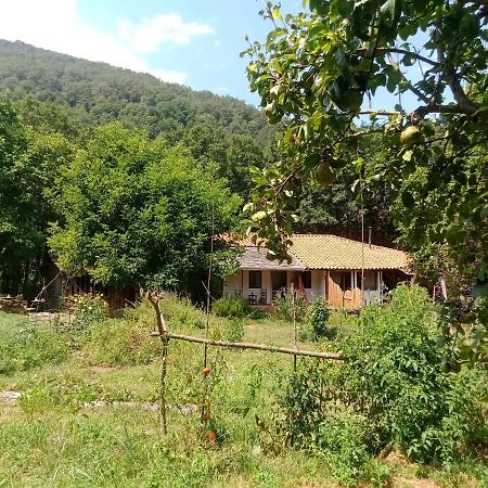 Charming Cottage In The Heart Of The Ribera Sacra Castro Caldelas Luaran gambar